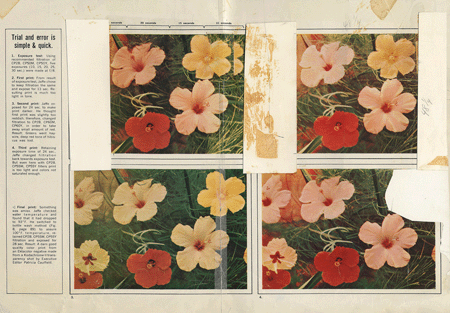 Source material for the Flowers. The Archives of the Andy Warhol Museum, Pittsburgh Art. Artwork: © 2022 Andy Warhol Foundation for the Visual Arts / Artists Rights Society (ARS), New York 